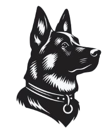 Belgian Malinois